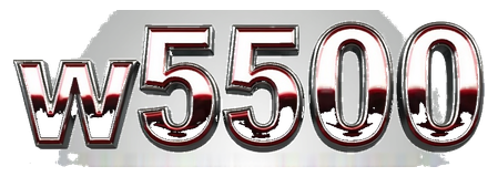 w5500 logo